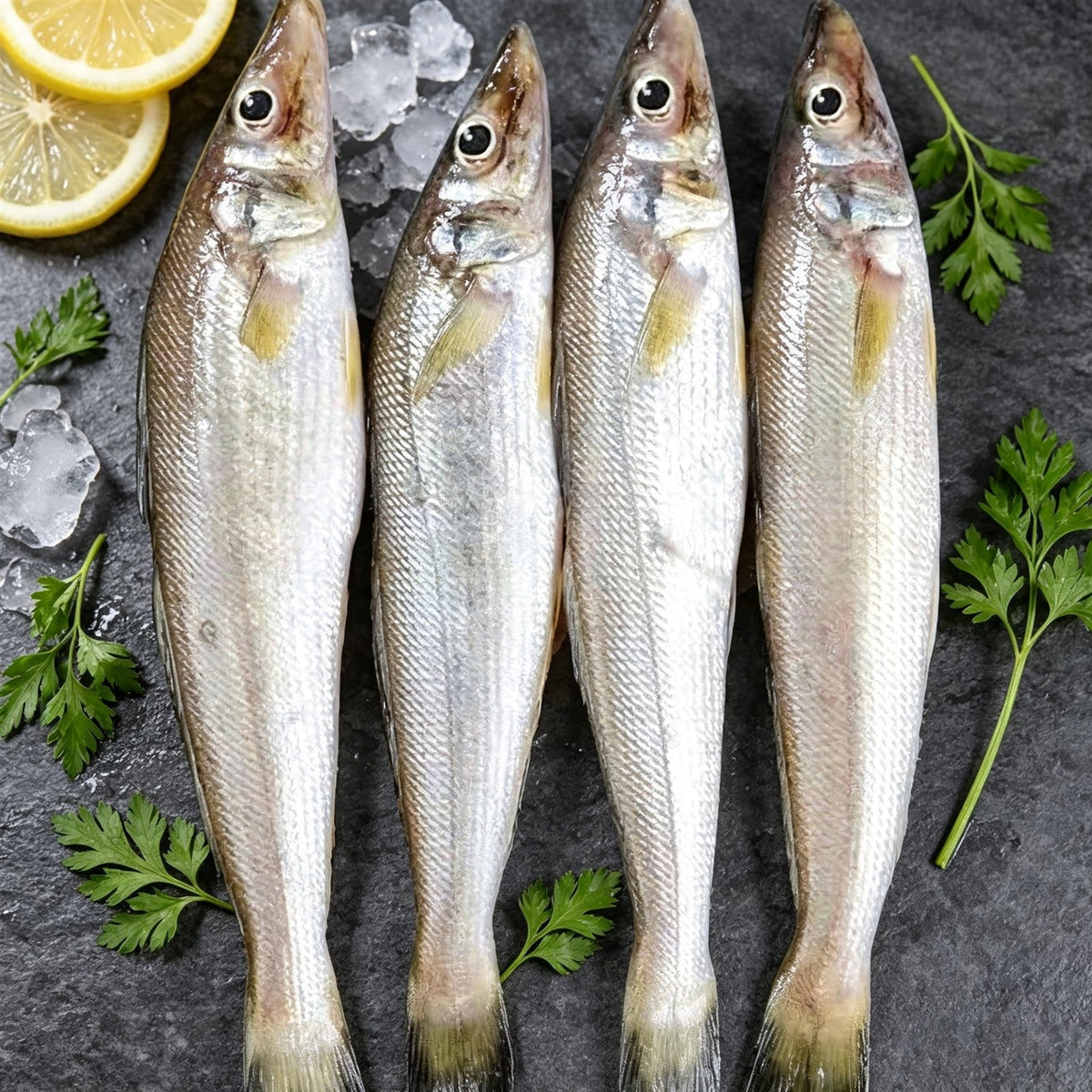 Fin Fish