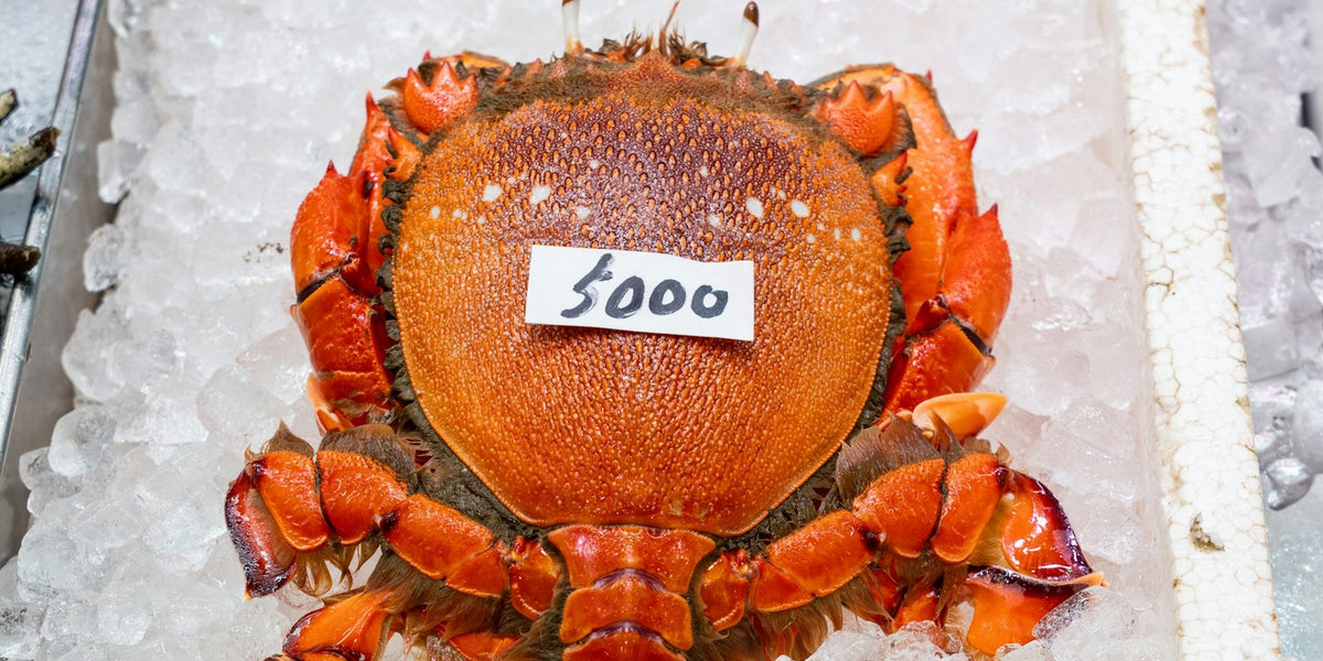 Joe-Mar Robert GOULD-MATIENZO — cold-water seafood hero