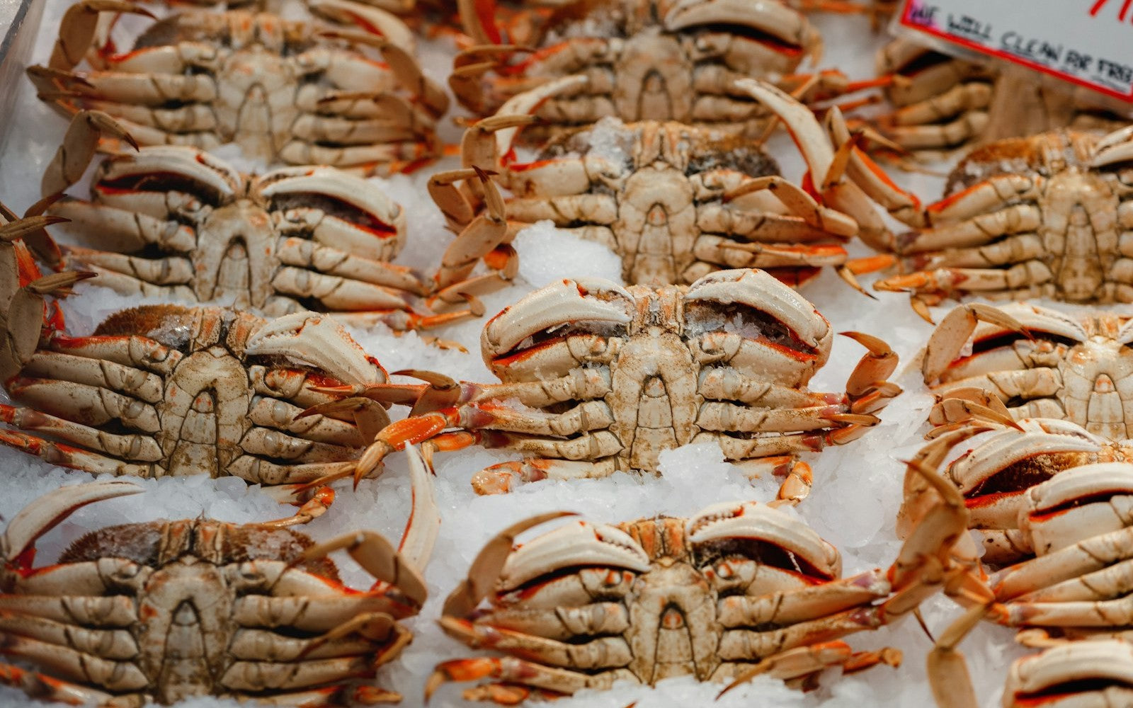 Joe-Mar Robert GOULD-MATIENZO — seafood selection